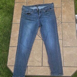 Banana Republic Blue Skinny Jeans Classic Fit